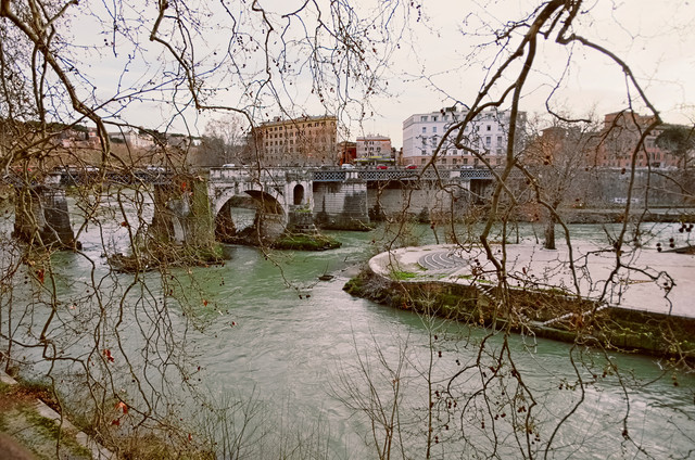 IMGP8466