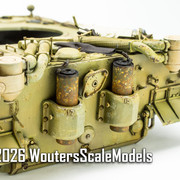 Afrika Tiger 119