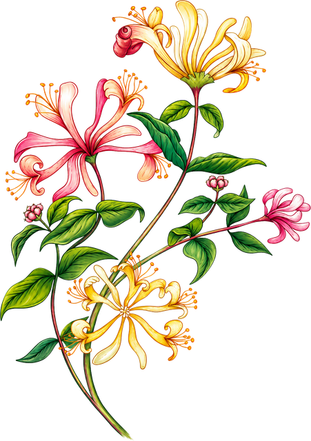 7c854ea5a3c610dfef0ed9fbfec052d9.png