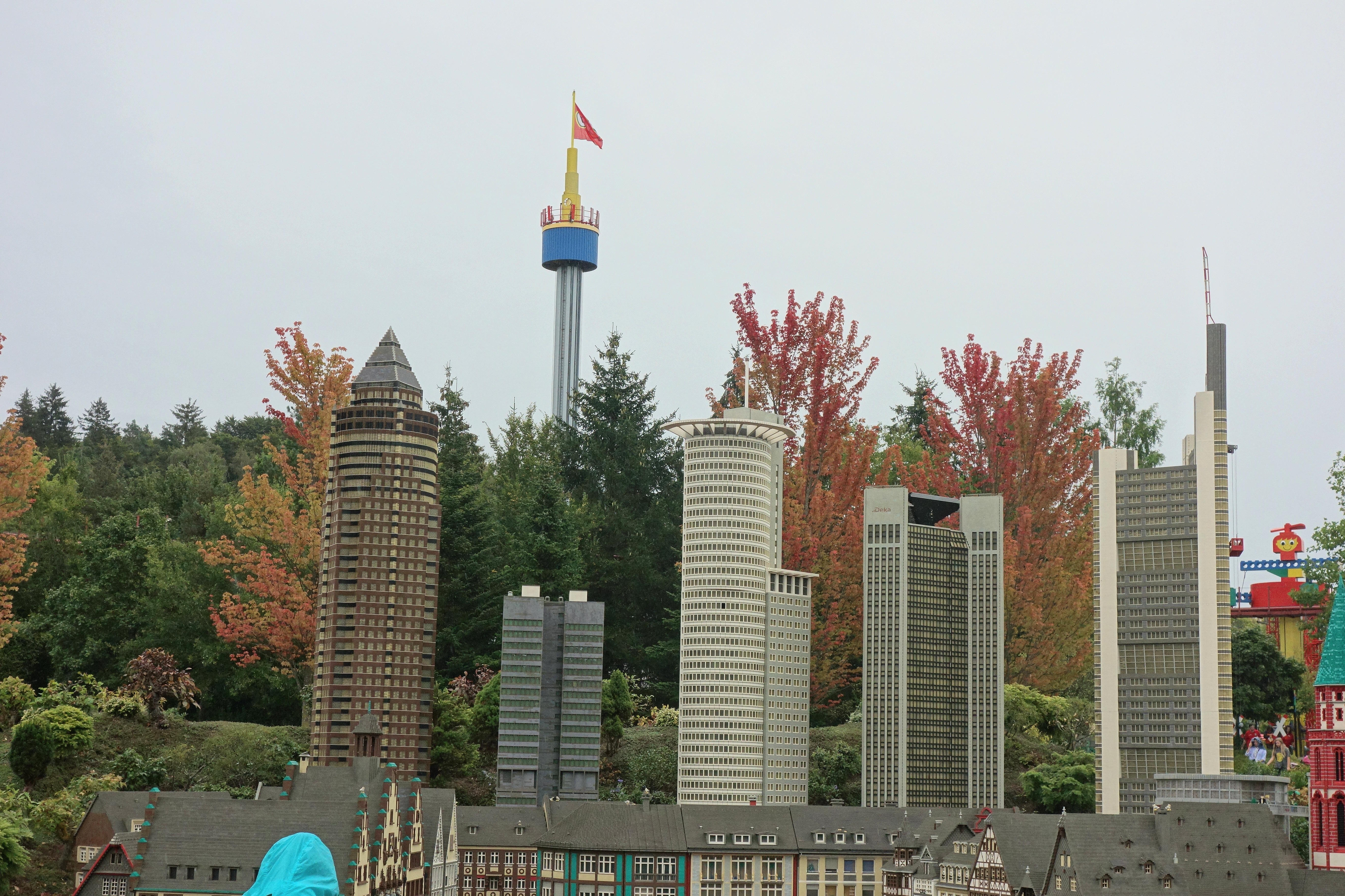 DSC09018