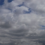 DSCF0176