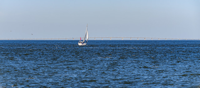 DSF5676.jpg