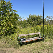 IMG-9351