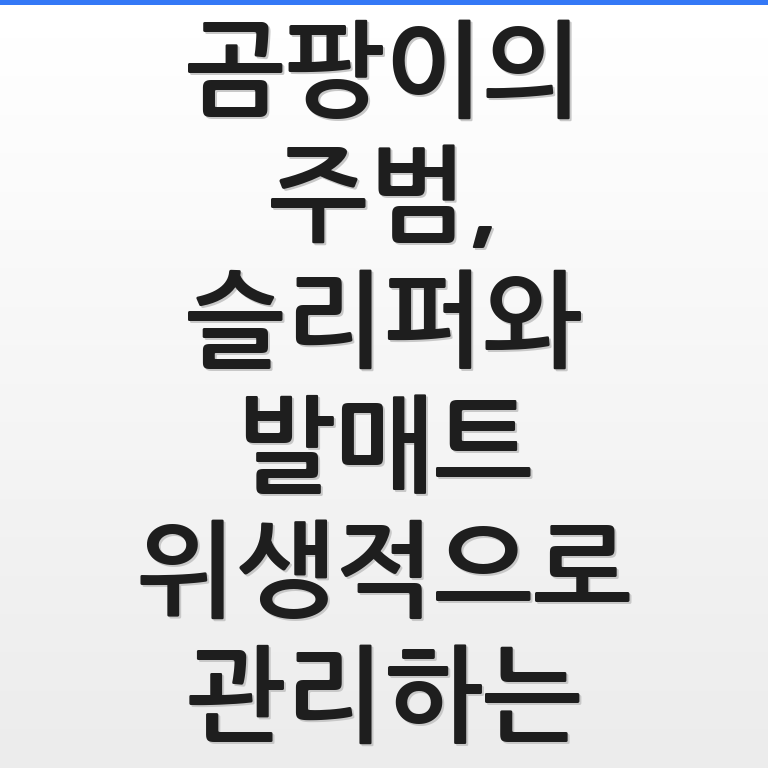 욕실 슬리퍼와 발매트 위생 관리로 악취와 곰팡이를 없애는 모습임