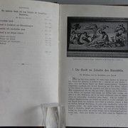IMG-7428