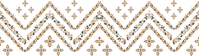 PNG BORDER 1.png