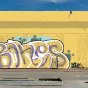 Graffiti artwork by bones