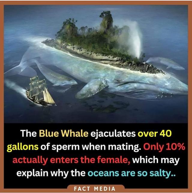 1000017321.jpg