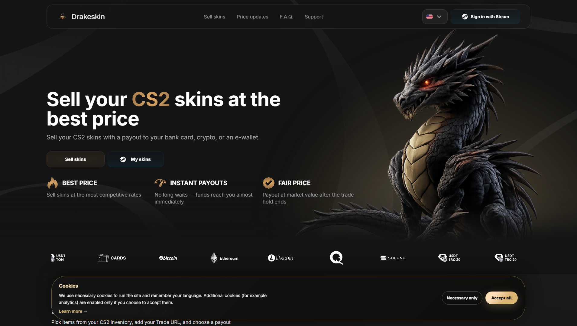 Stored capture of drakeskin.com