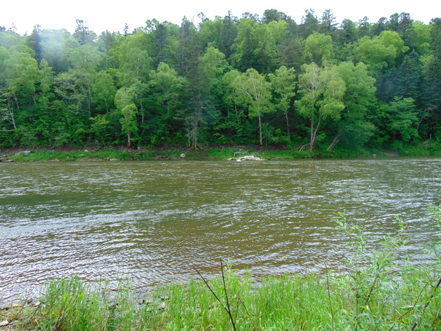 DSC04701