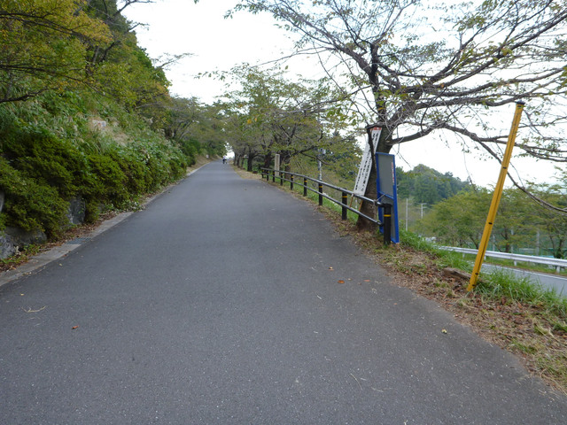 2012-10-06-041