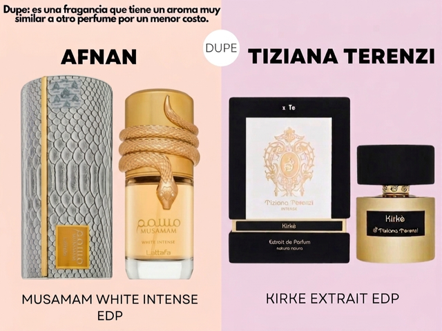 Musamam white Perfume Árabe Musamam White Intense Lattafa 100ml – El Dupe de Chimaera de Tiziana Terenzi foto 3