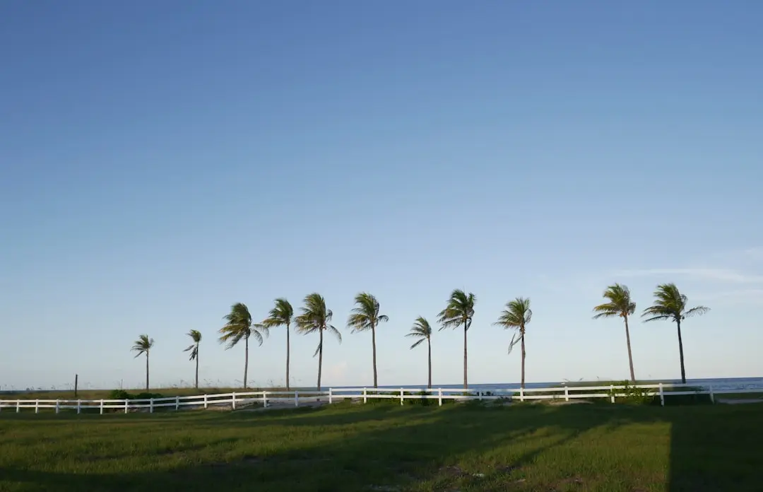 Descoperă Fort Lauderdale: Activități de top pentru turiști