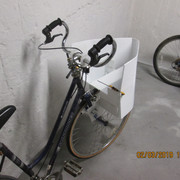 IMG-5199