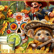2tequilabannerchrissy