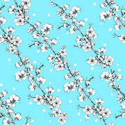 shutterstock 1477001663