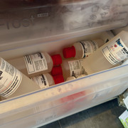 IMG 3504
