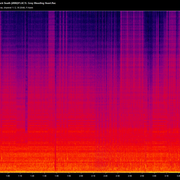 5 Grey Bleeding Heart flac