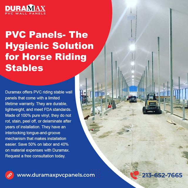 PVC Panels The Hygienic Solution for Horse Riding Stables.png