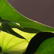 IMG-7069