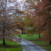 denirogardiner