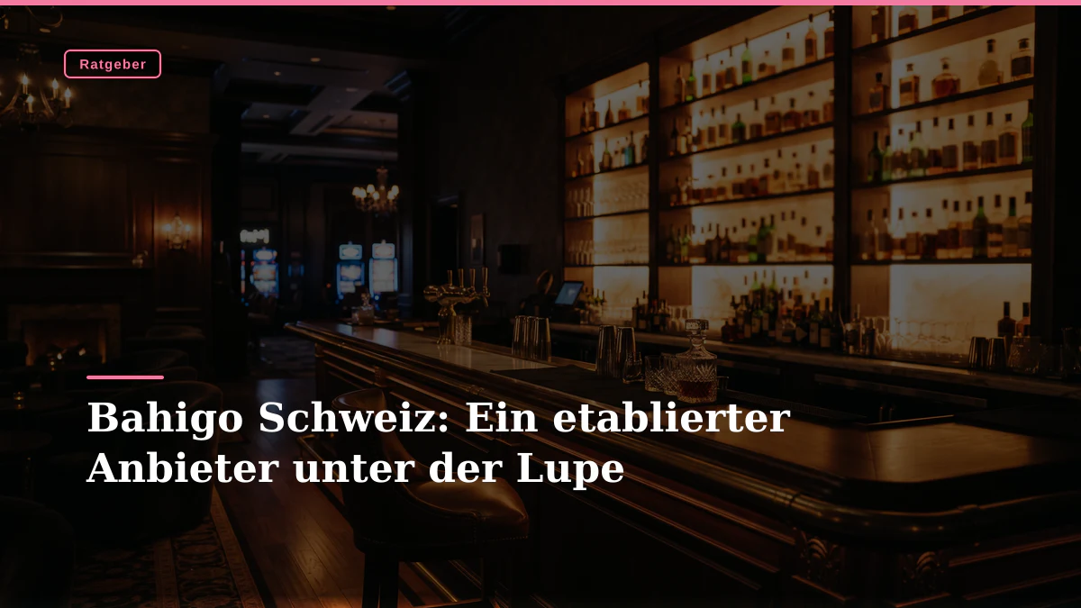 Bahigo Schweiz: Ein etablierter Anbieter unter der Lupe