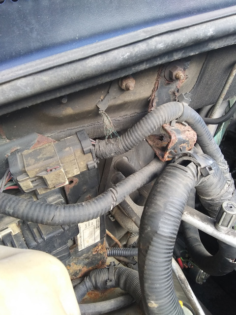 Jeep-Picture-1.jpg