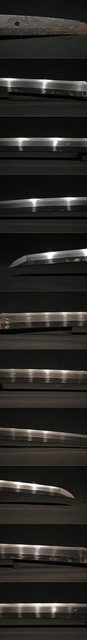 DSC7794.jpg