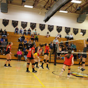 IMG-0212