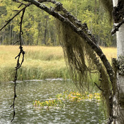 IMG 4860