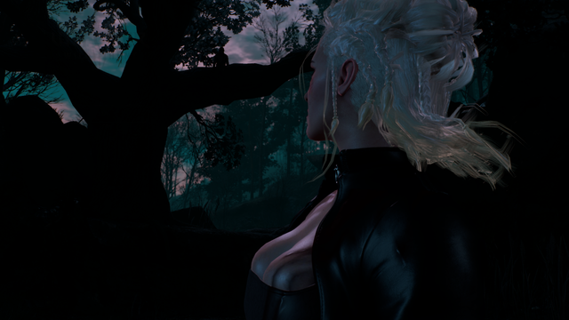 Ciri - 001 Enhanced.png
