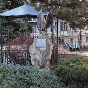 IMG-6152