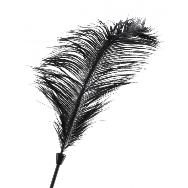 Feather.jpg