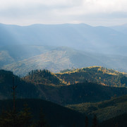 IPB Image