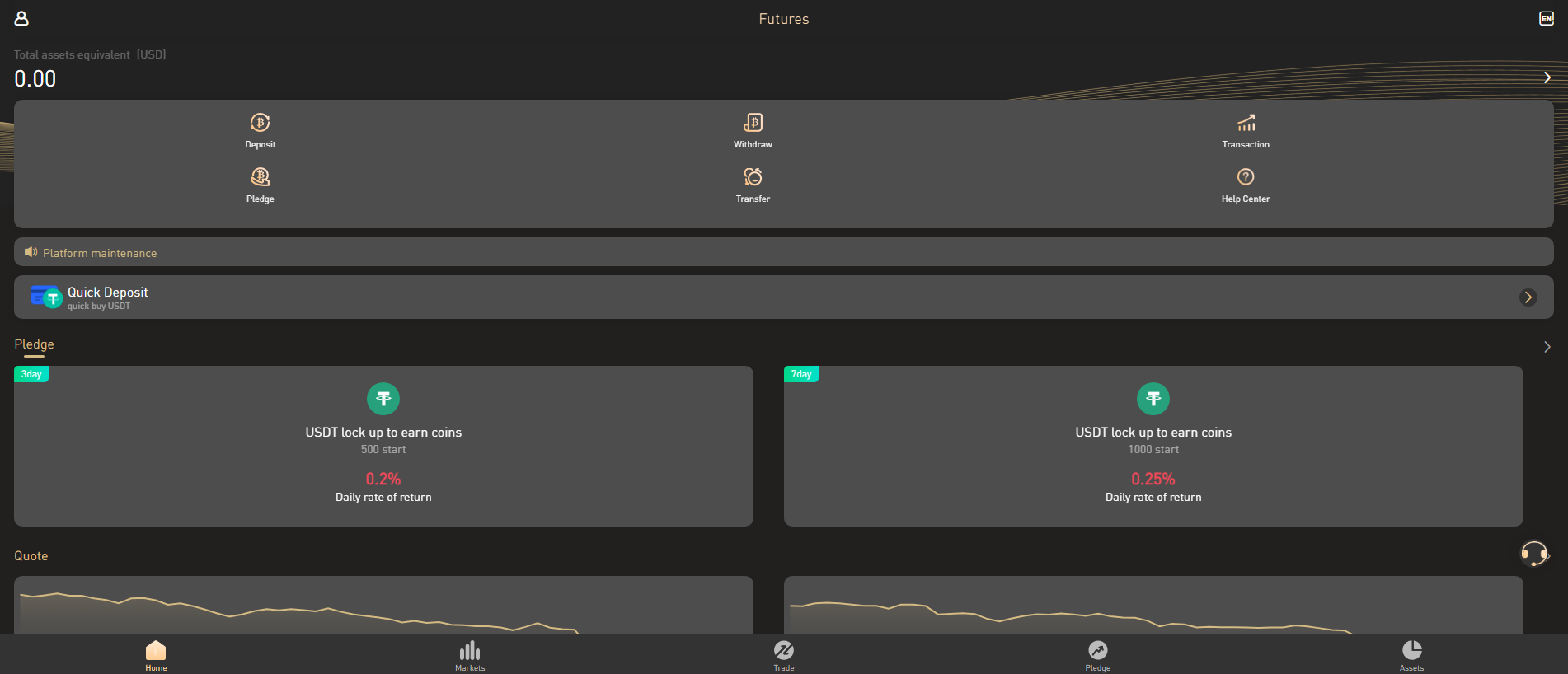 Screenshot of futurenfdw.com