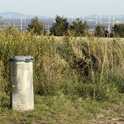 IMG-0535