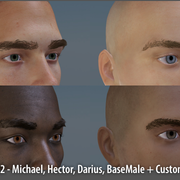 Brows-02-preview