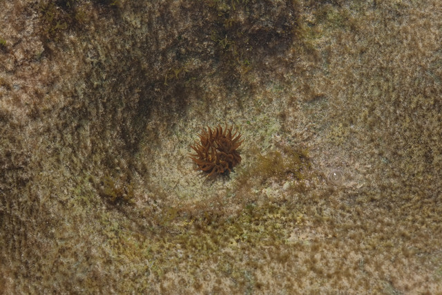DSCF8592.jpg