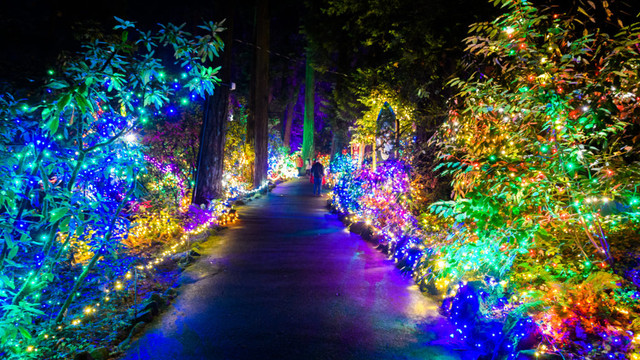 oregon-lights.jpg