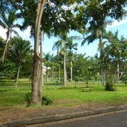 P1070145