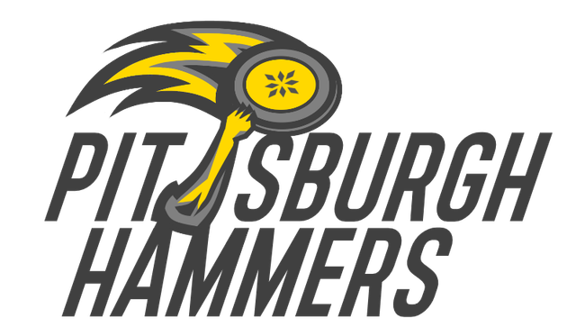 Wordmark: Pittsburgh Hammers