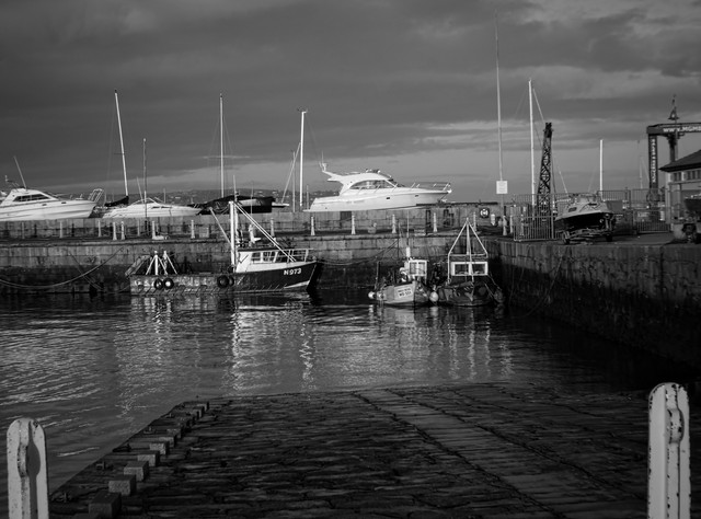 IMGP7059bw.jpg