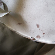 IMG-8094