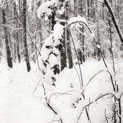 Iskra-T42-042