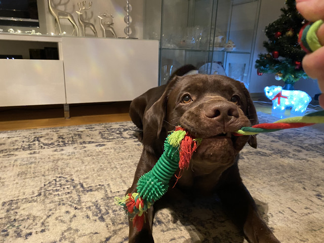 A7883850-5-C55-4-BE7-98-AB-17-EDF7-AA683