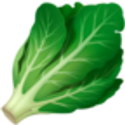 leafy-green-1f96c