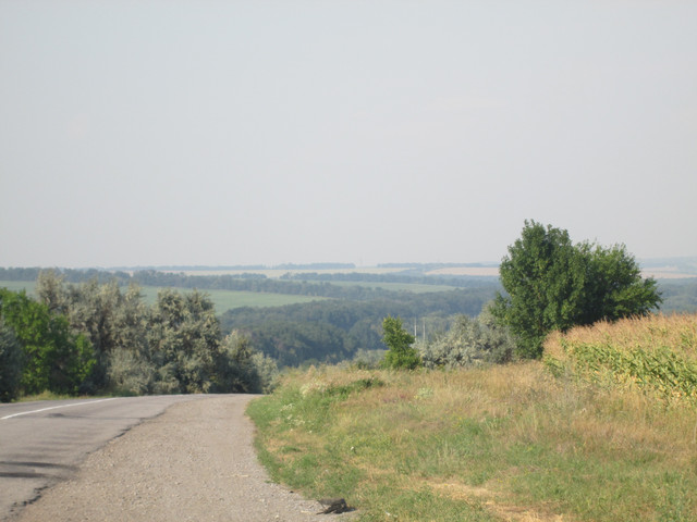 IMG 4697