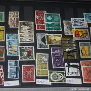 IMG-3699