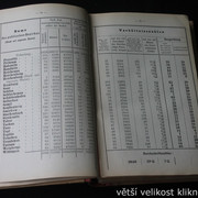 IMG-4235