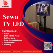 tv91